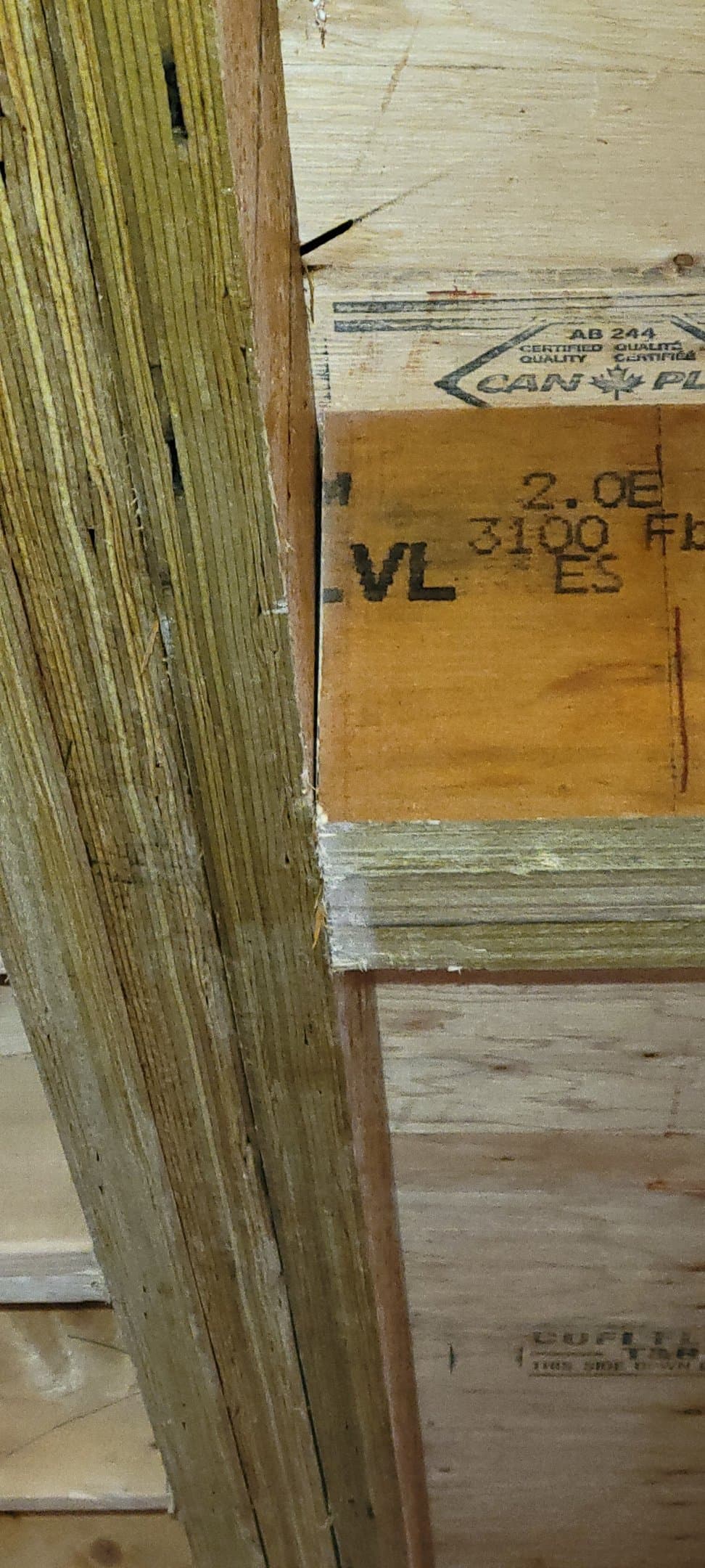 Home Renovations Victoria Park photo 12