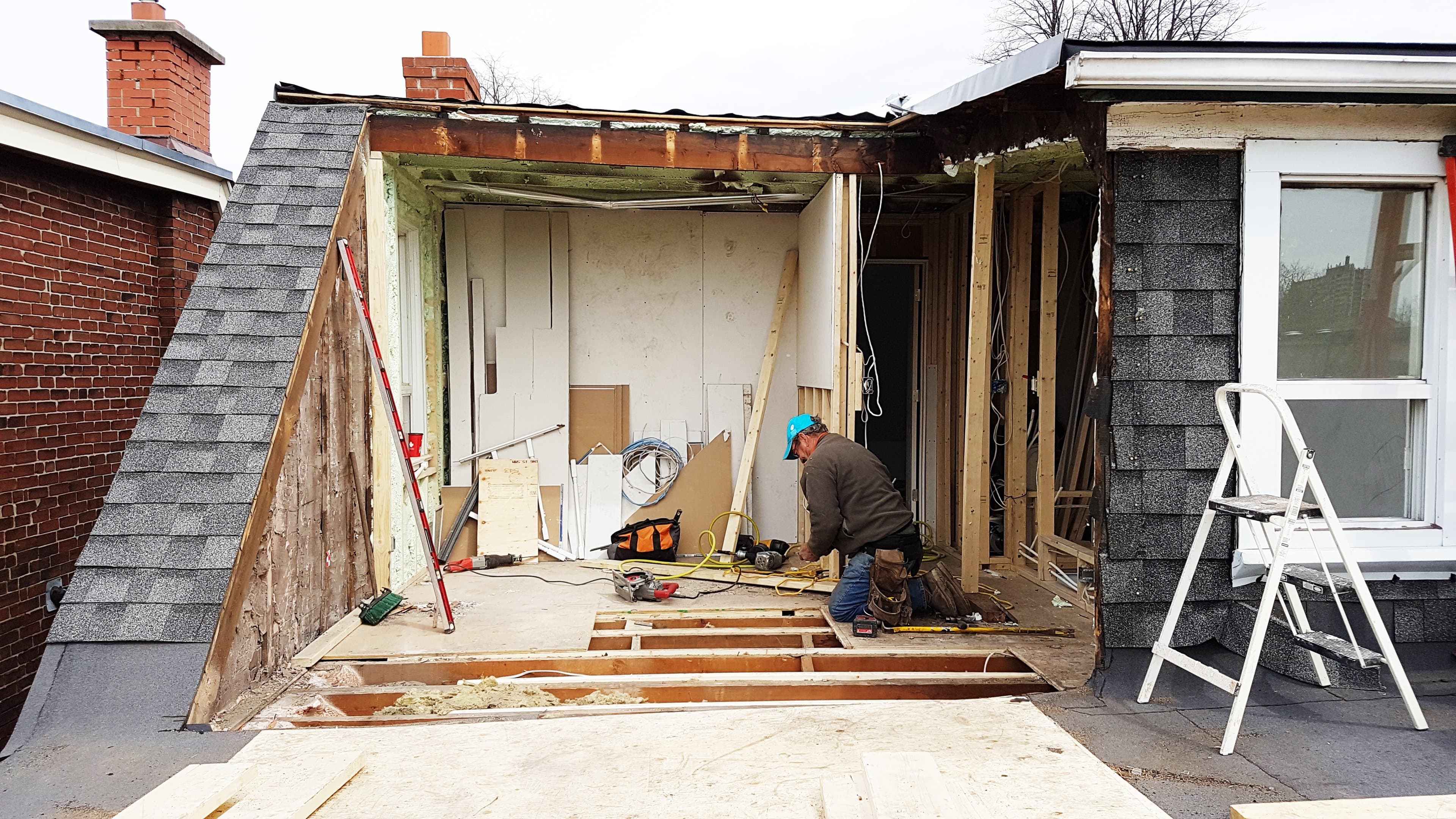 Structural Framing Fern photo 7