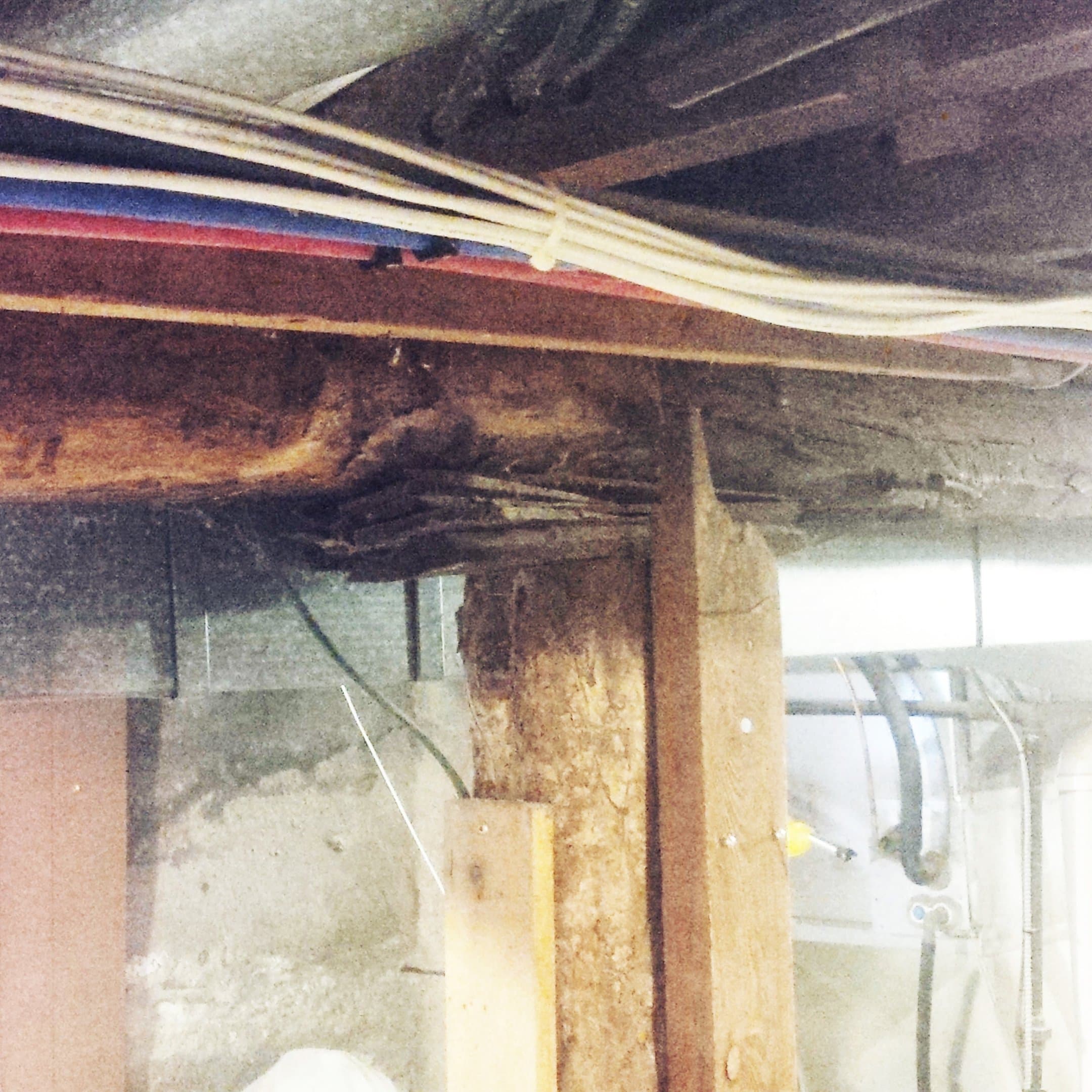 Load Bearing Wall Removal Victoria Park photo 8