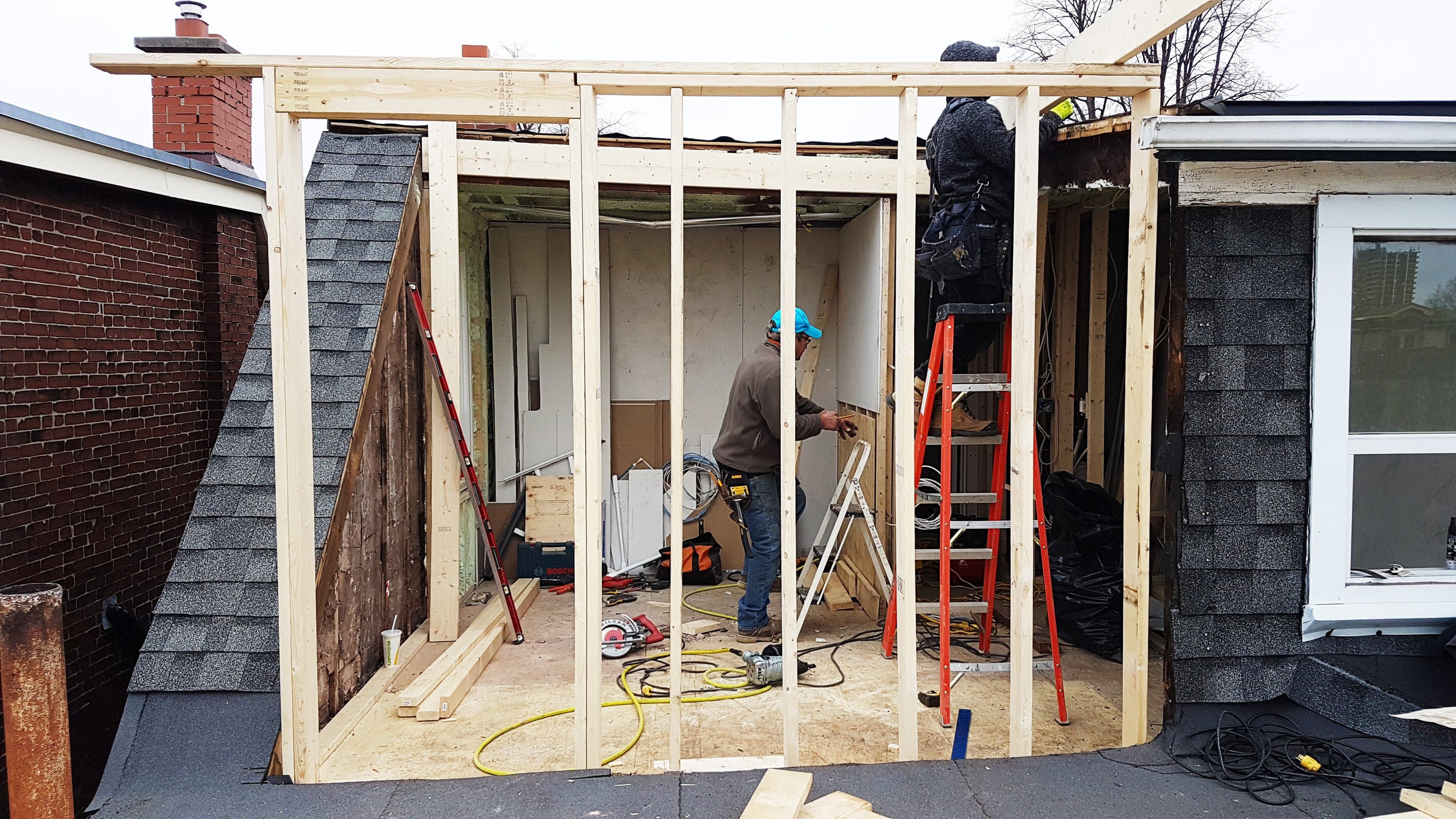 Structural Framing Fern photo 6
