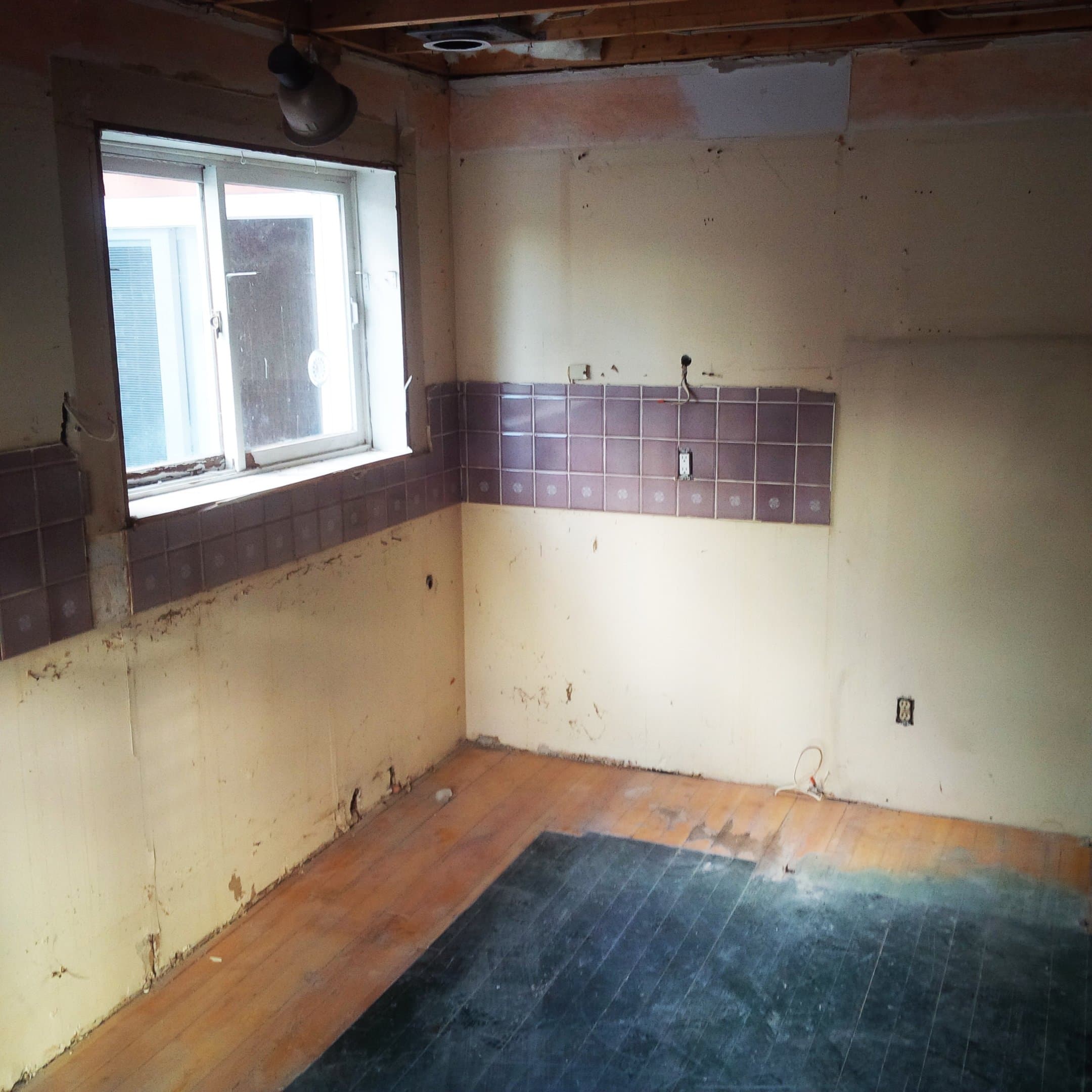 Structural Framing Victoria Park Kitchen photo 14