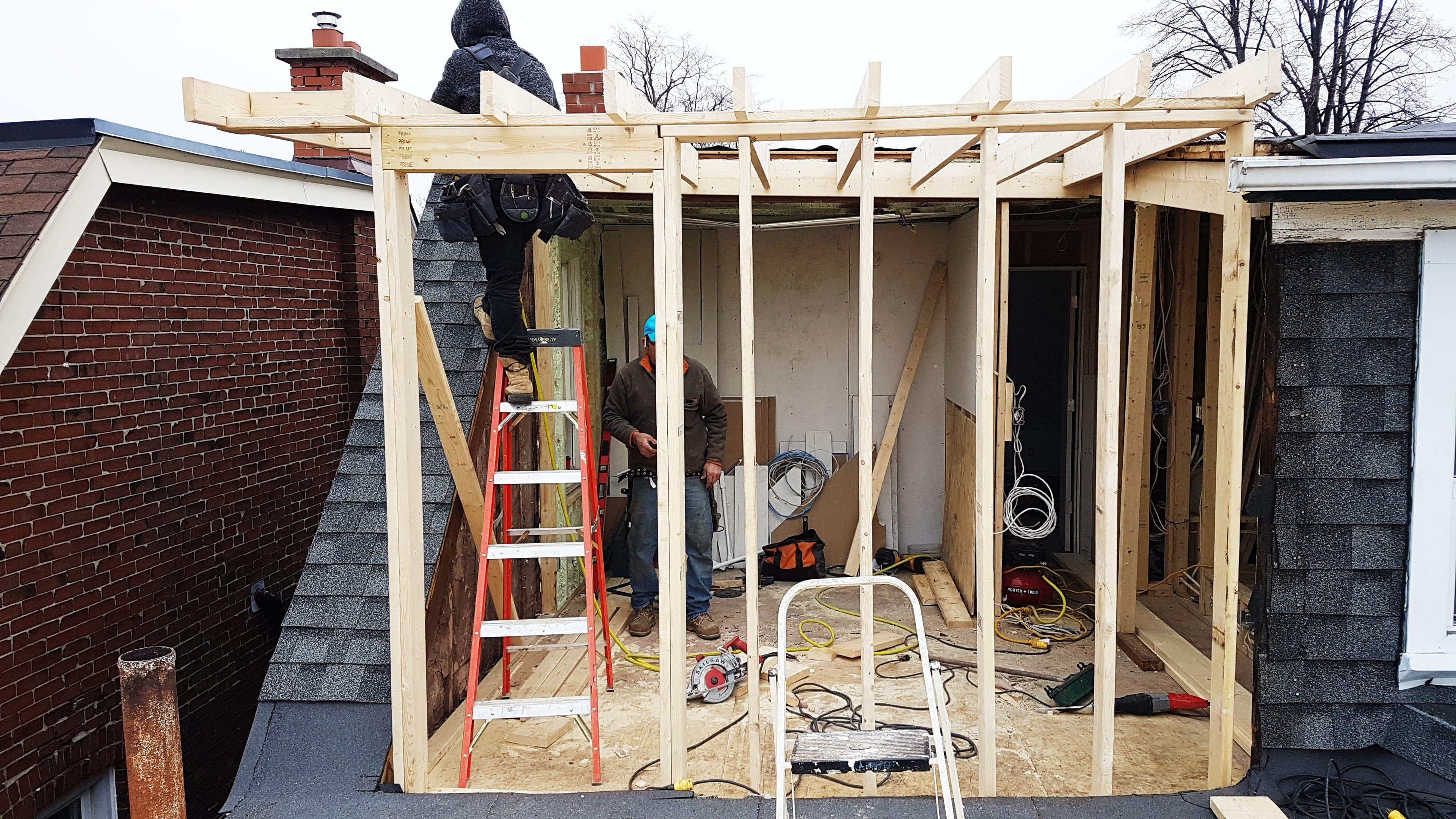 Structural Framing Fern photo 5